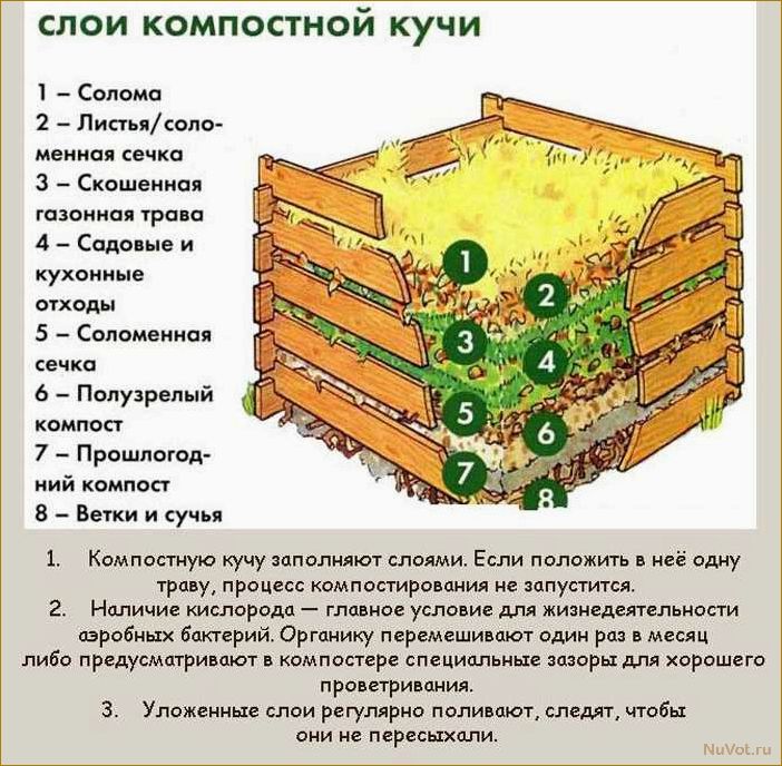 Как создать компостную яму своими руками: варианты разных конструкций и технологий