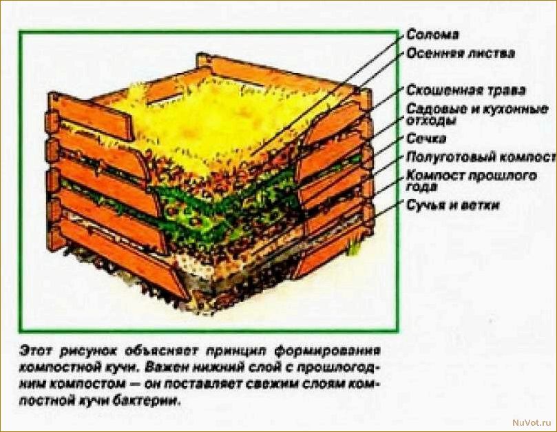 Как создать компостную яму своими руками: варианты разных конструкций и технологий