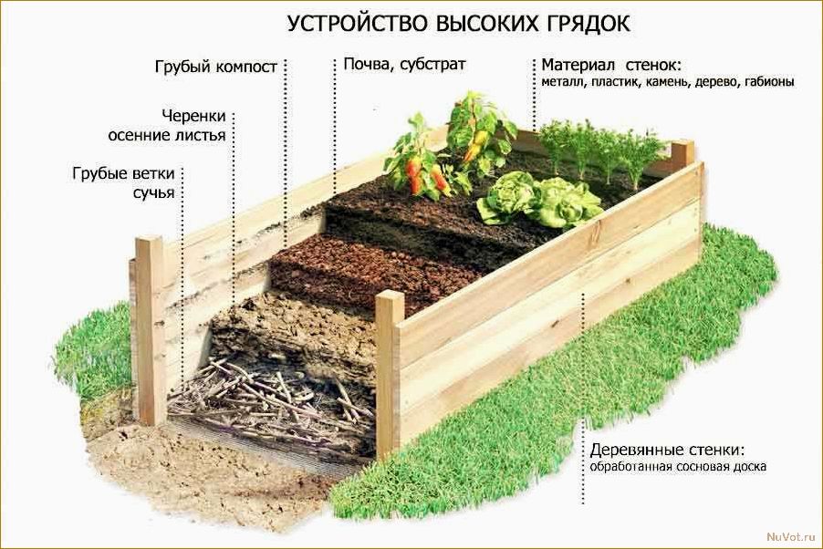 Как создать компостную яму своими руками: варианты разных конструкций и технологий