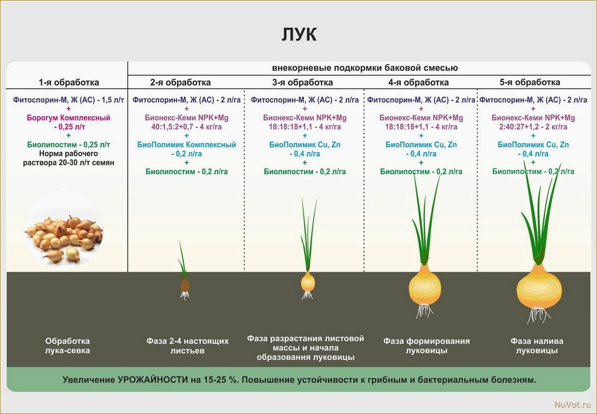 4 способа ускорить процесс посадки картофеля