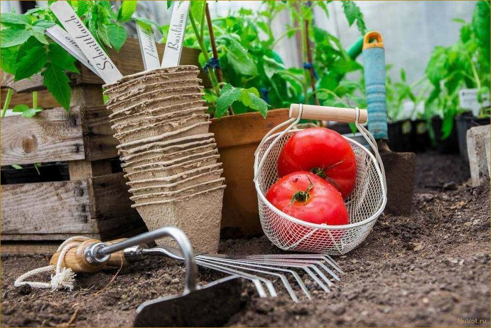 Секреты садовода: готовые дачные компостеры для удобрений