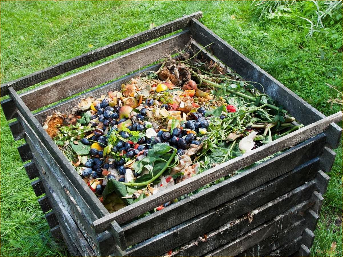 Почему сентябрь — идеальное время для установки компоста