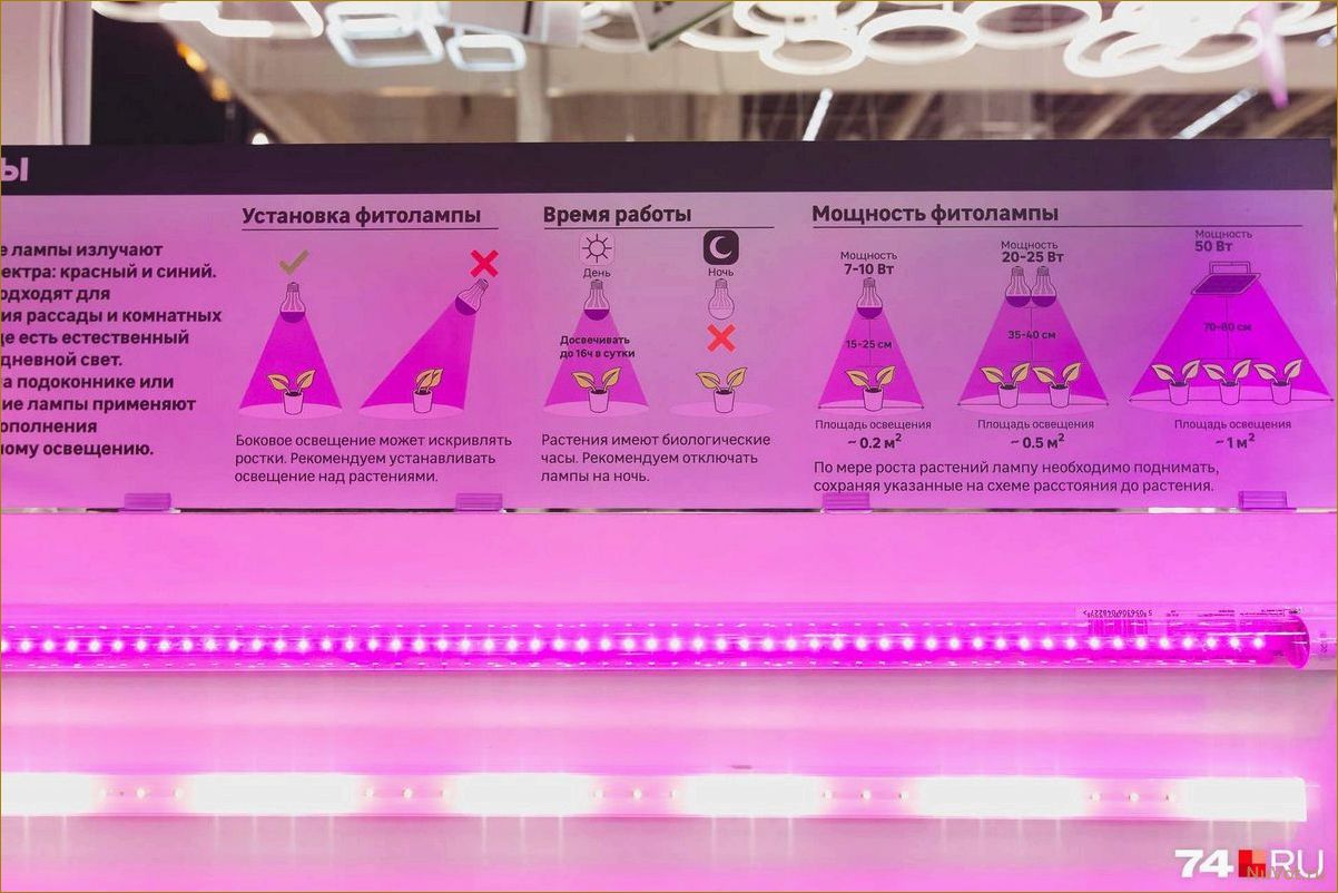 Фитолампа: налог на глупость или залог здоровой рассады?