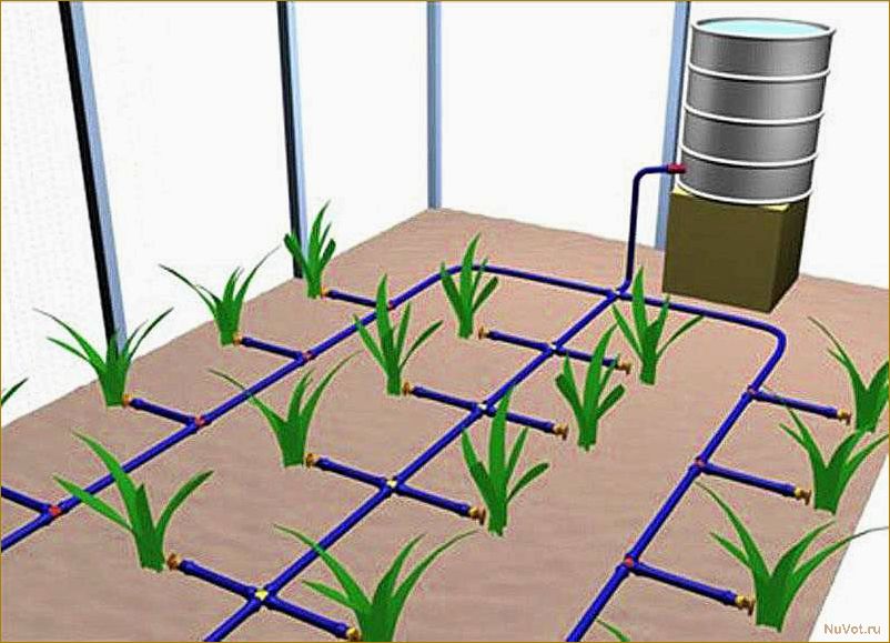 Увеличиваем урожай вдвое: капельный полив в теплице своими руками