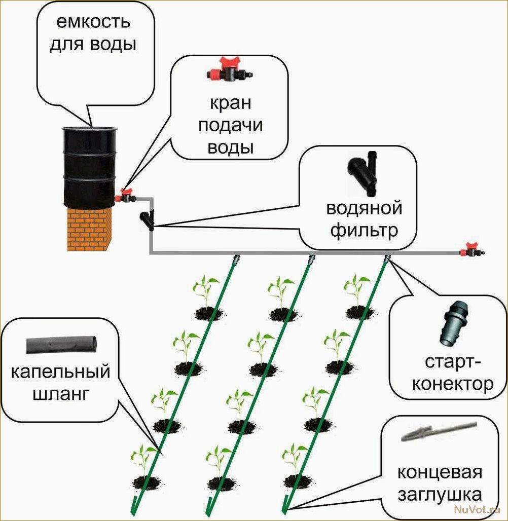 Увеличиваем урожай вдвое: капельный полив в теплице своими руками