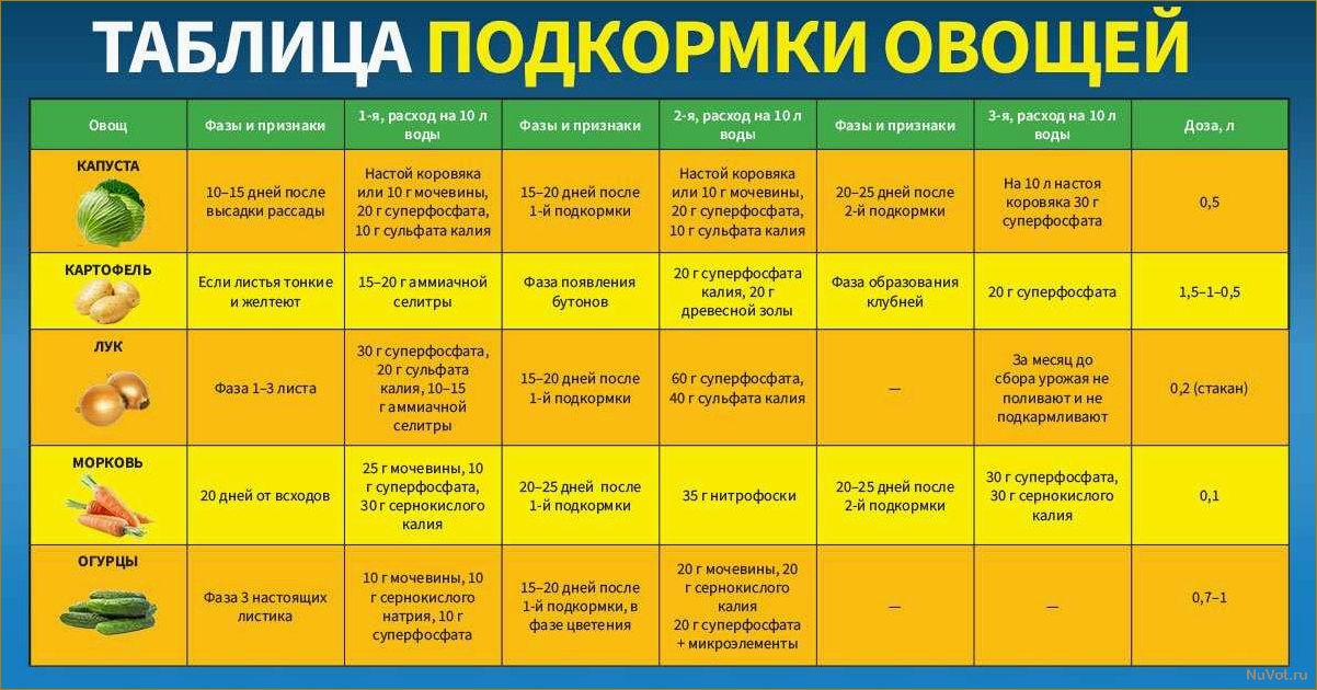 9 советов для повышения урожайности на даче: как создать волшебство на своем участке