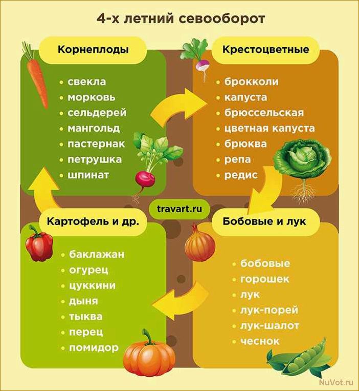 9 советов для повышения урожайности на даче: как создать волшебство на своем участке